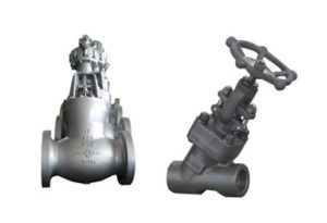Globe Valves